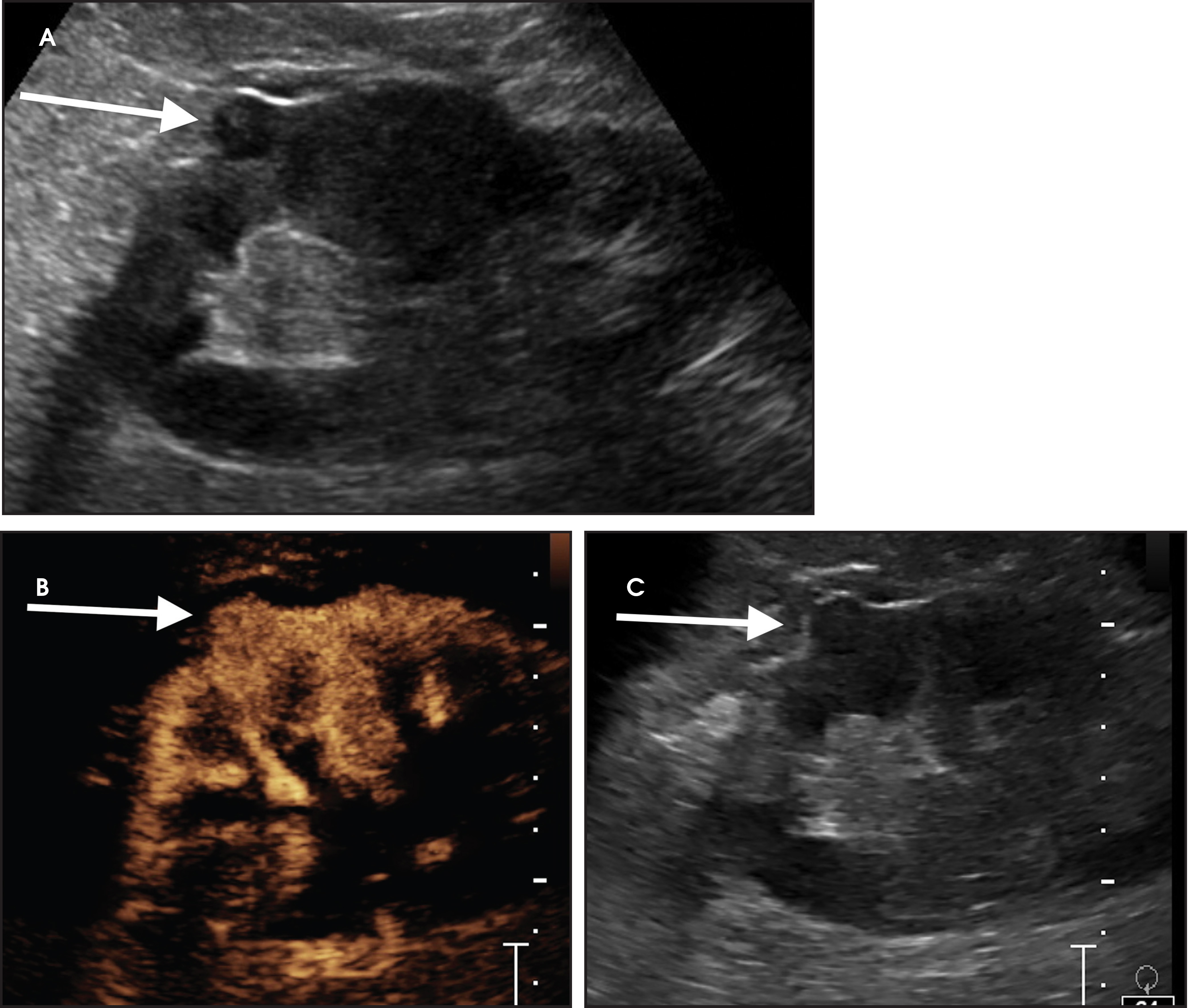 FIGURE 7.