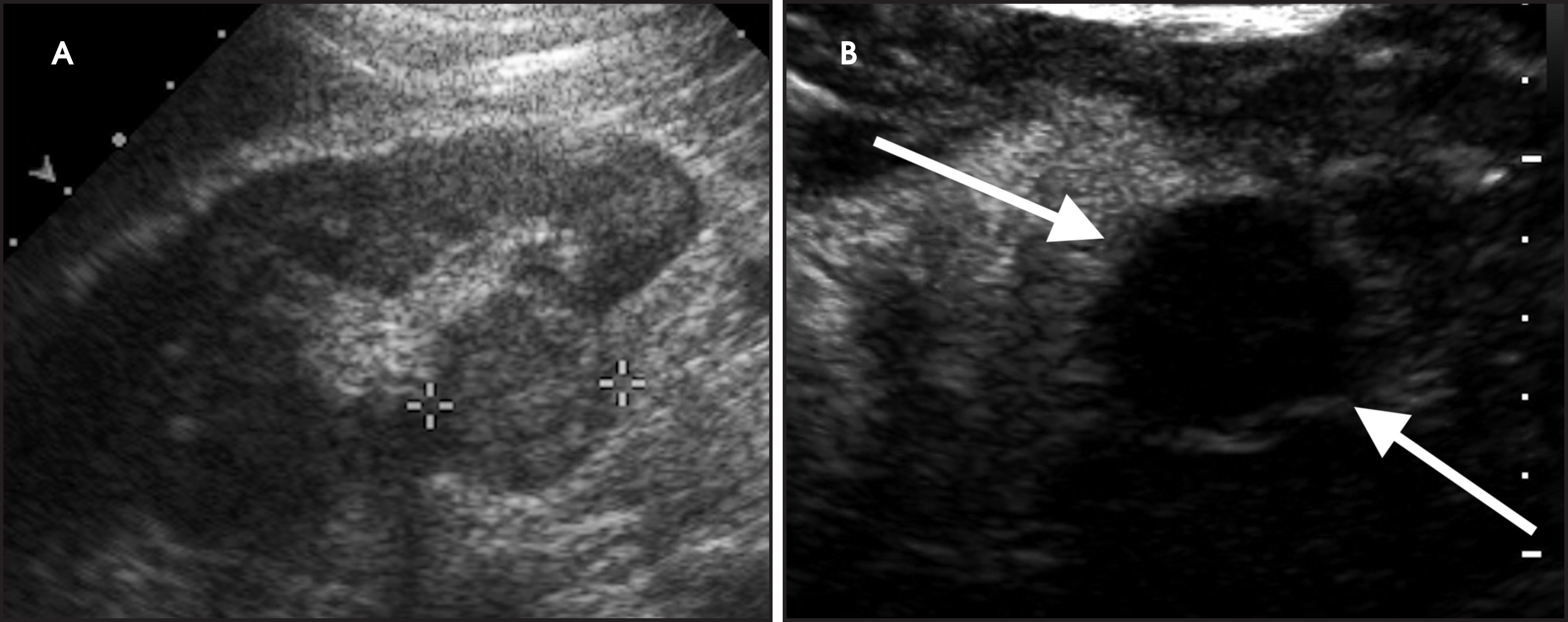 FIGURE 9.