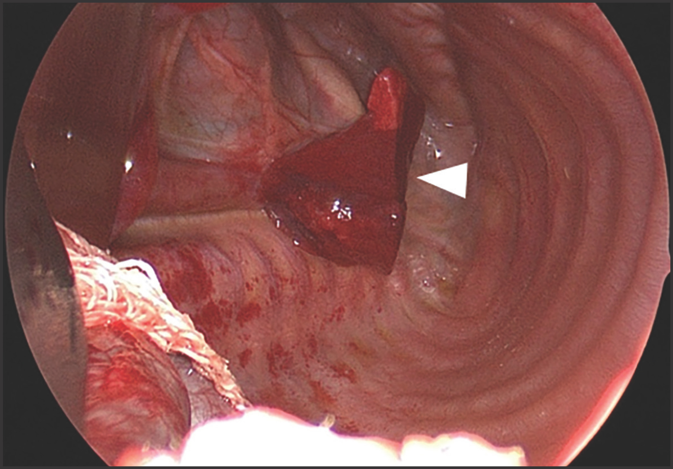 FIGURE 1.