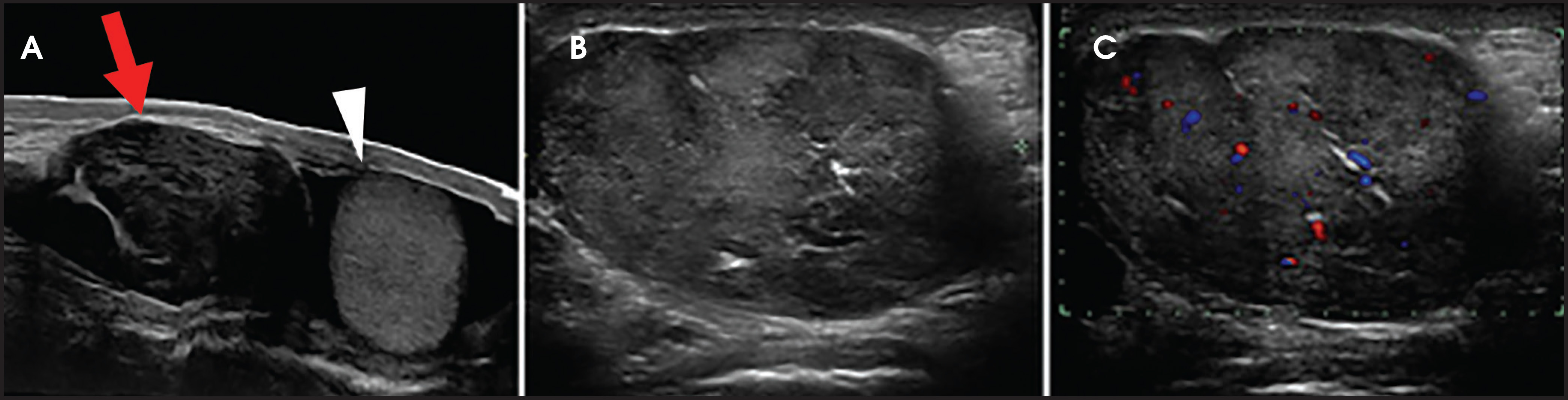 FIGURE 1.
