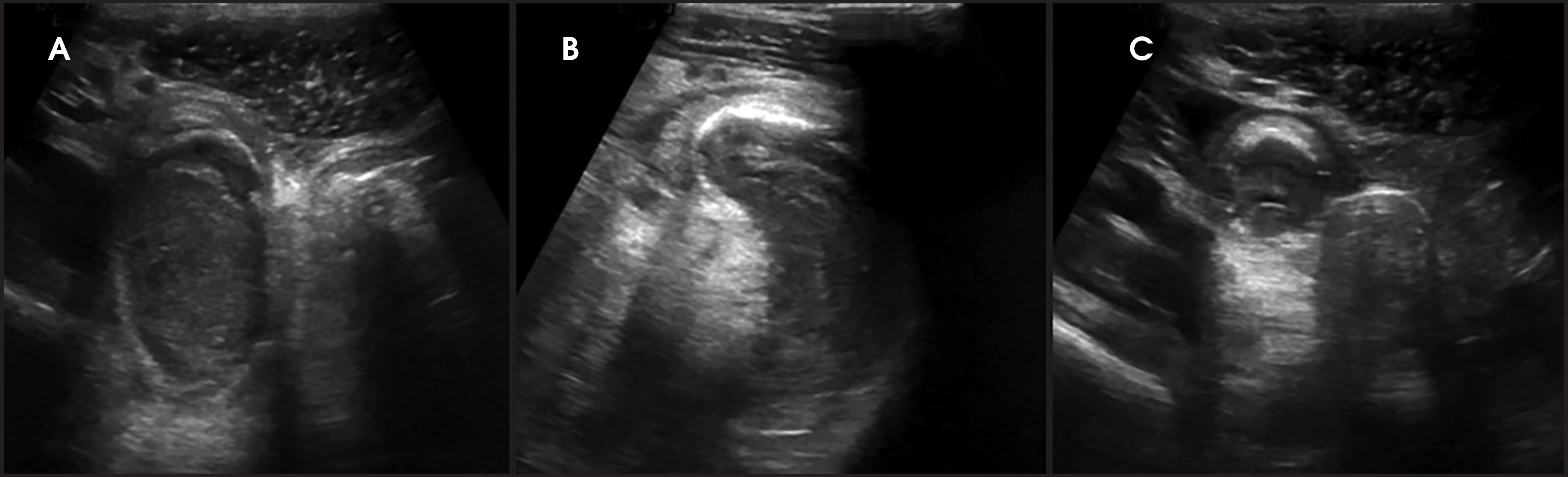 FIGURE 1.