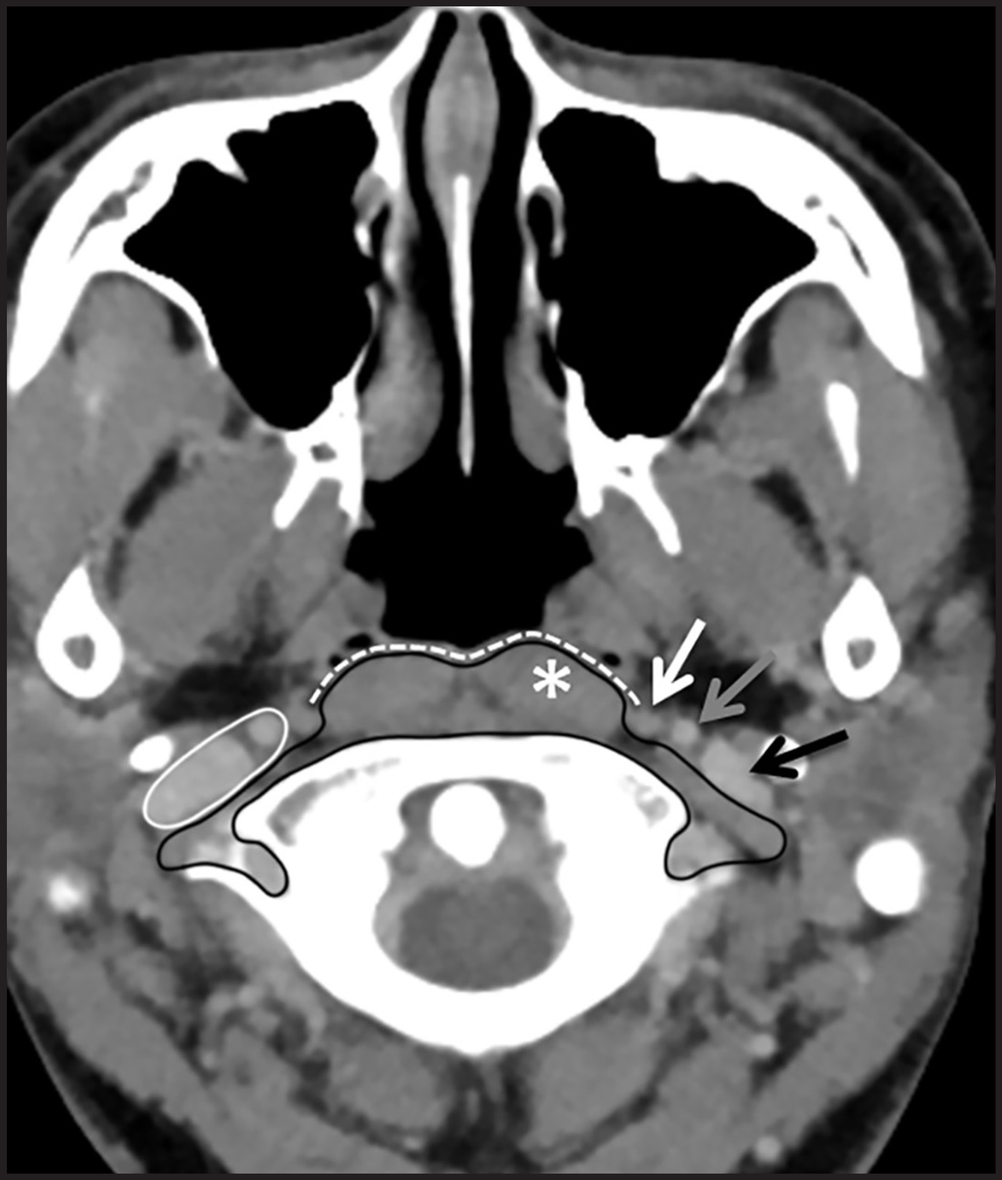 FIGURE 1.