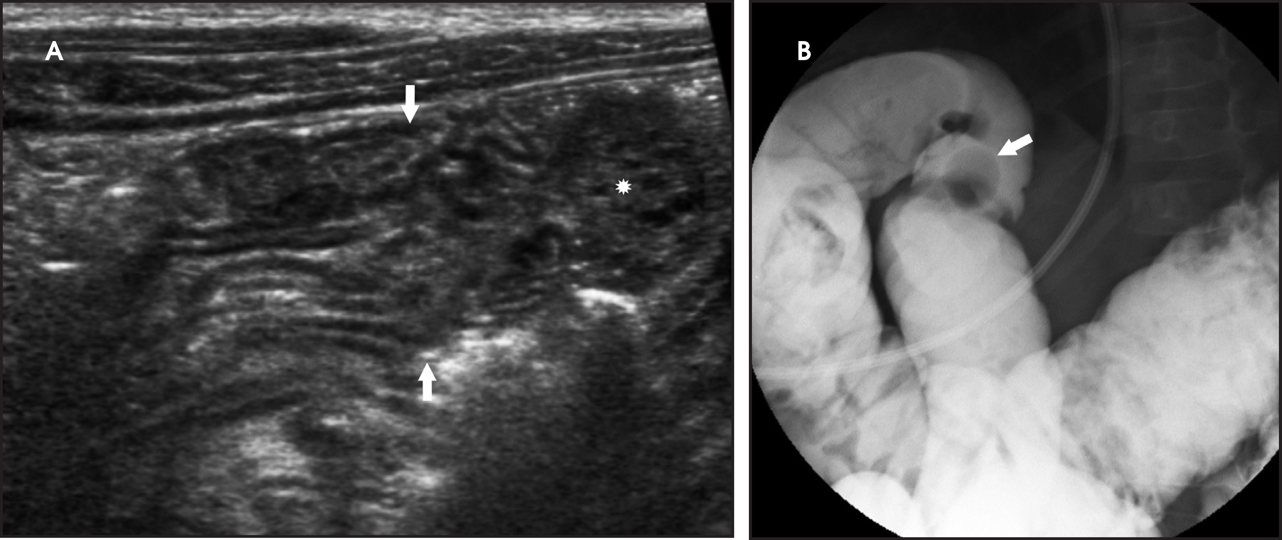 FIGURE 12.