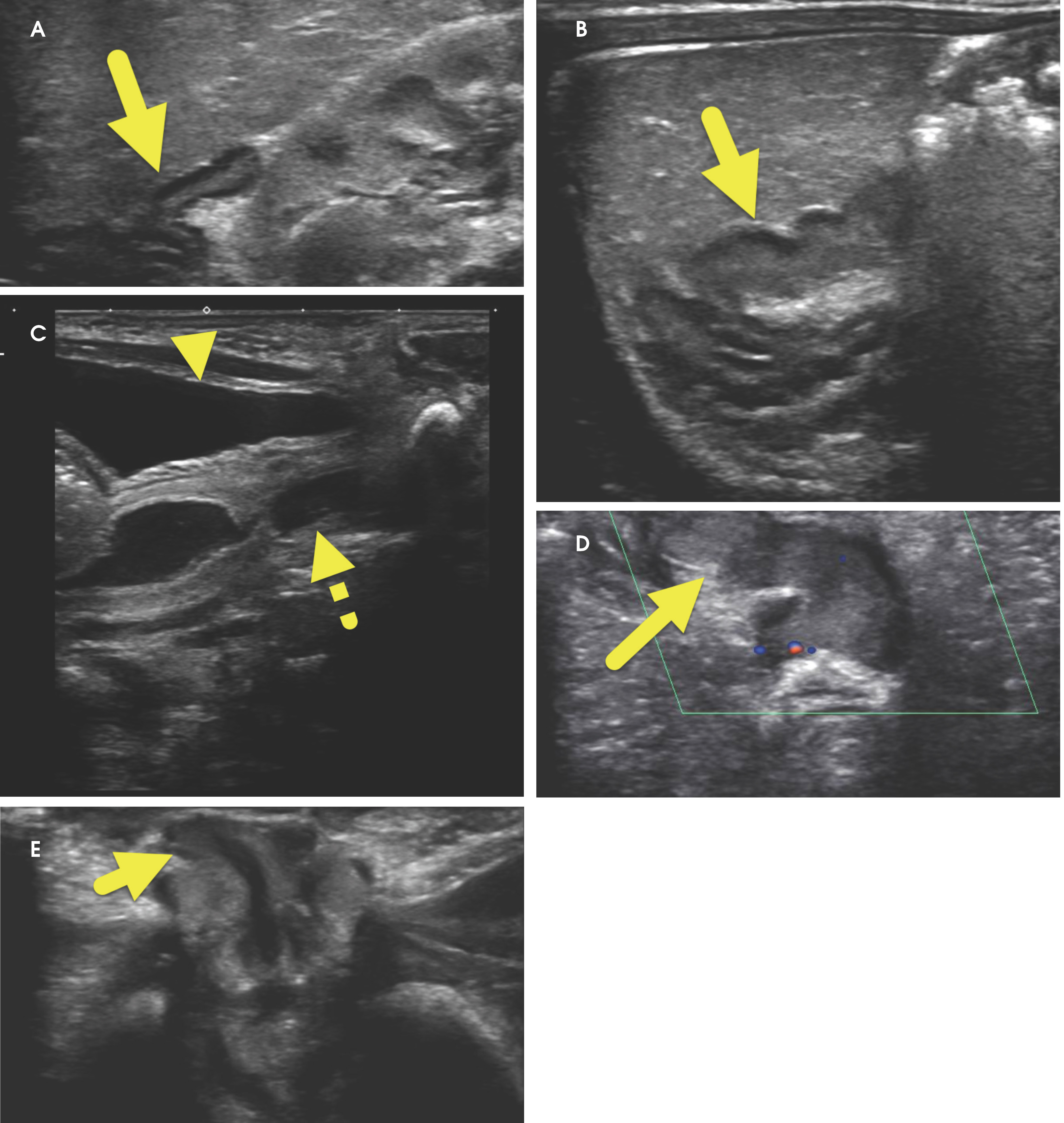 FIGURE 1.