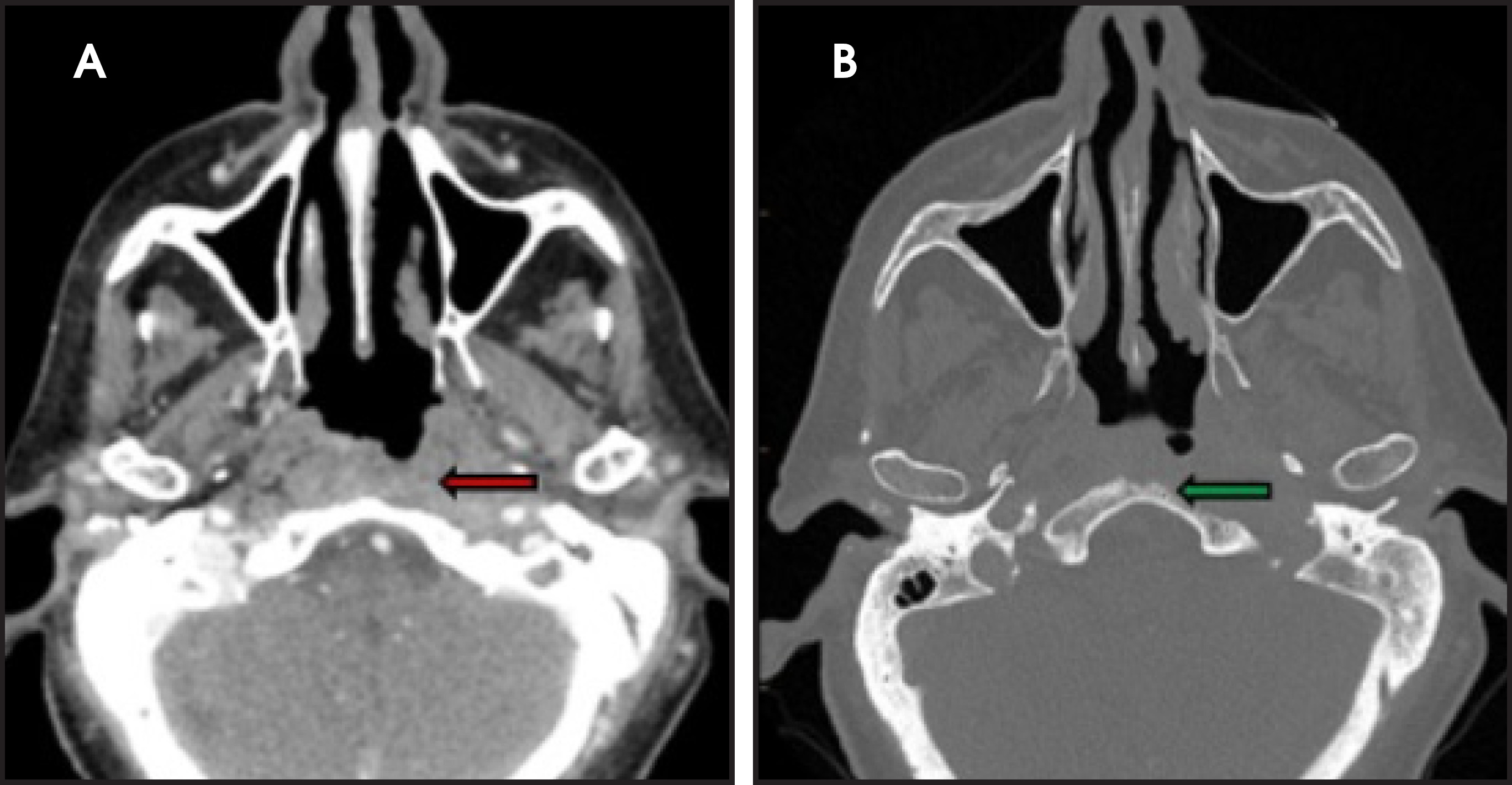 FIGURE 1.
