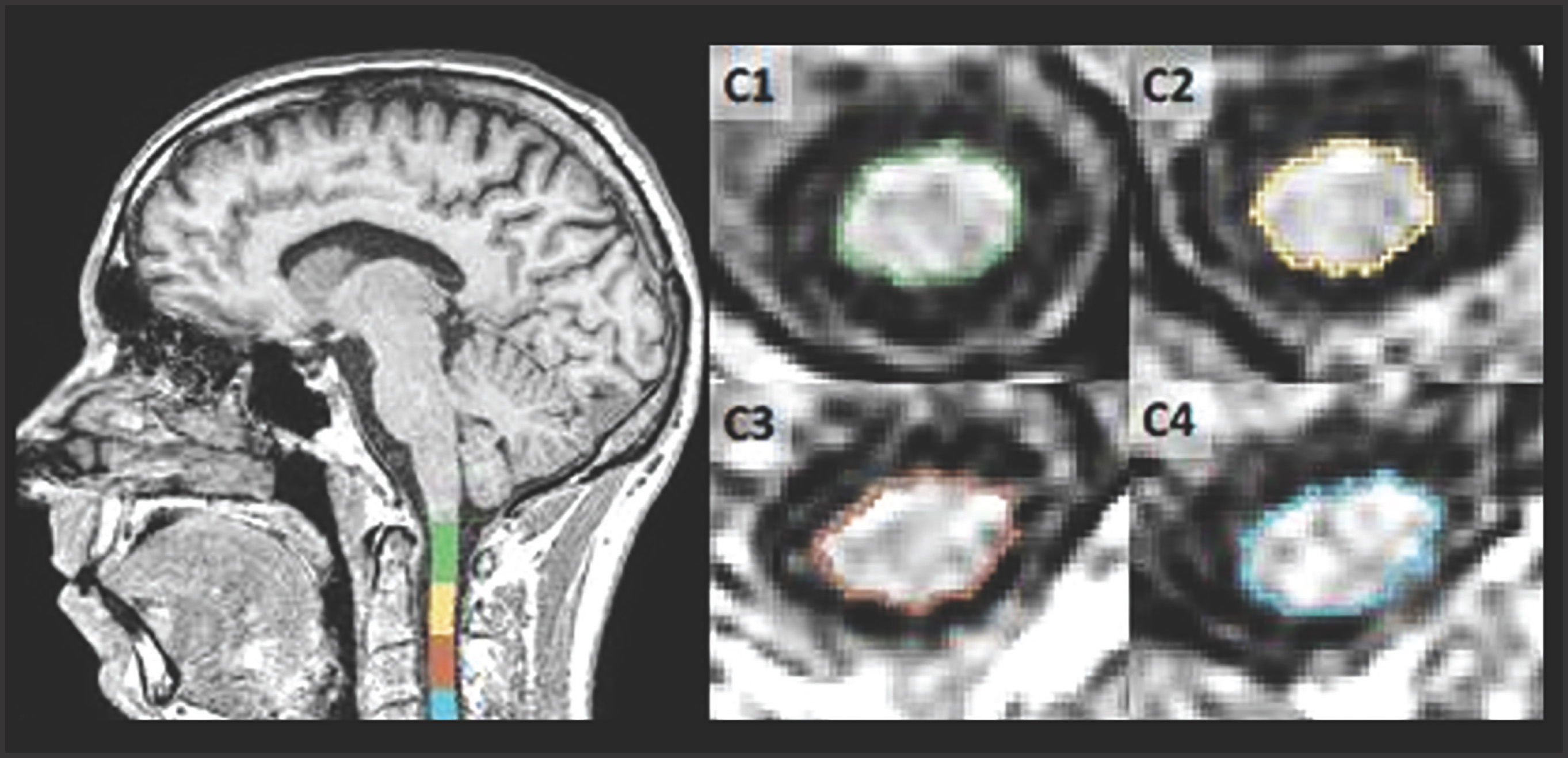 FIGURE 7.