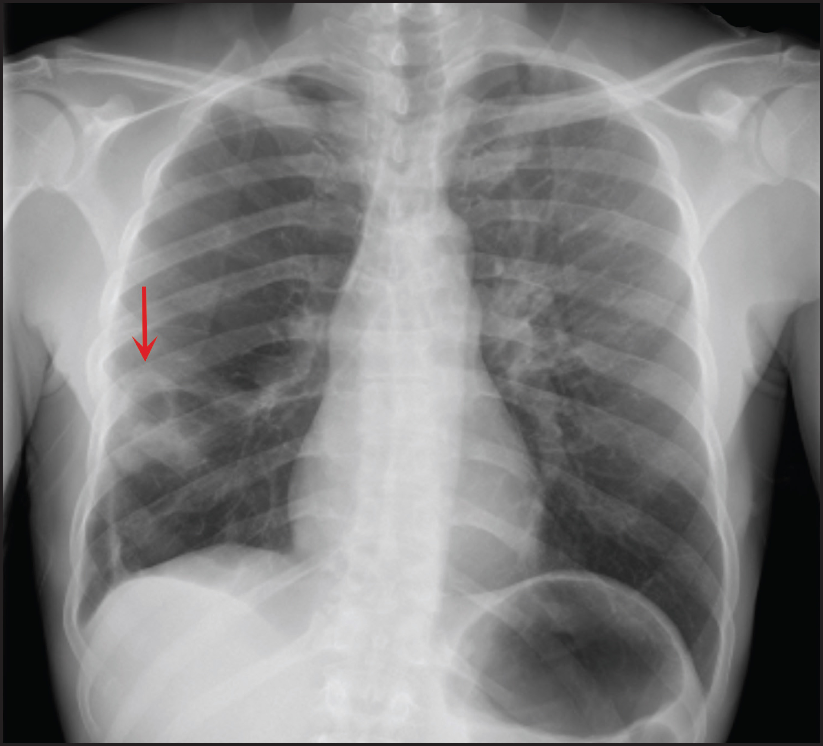 FIGURE 1.