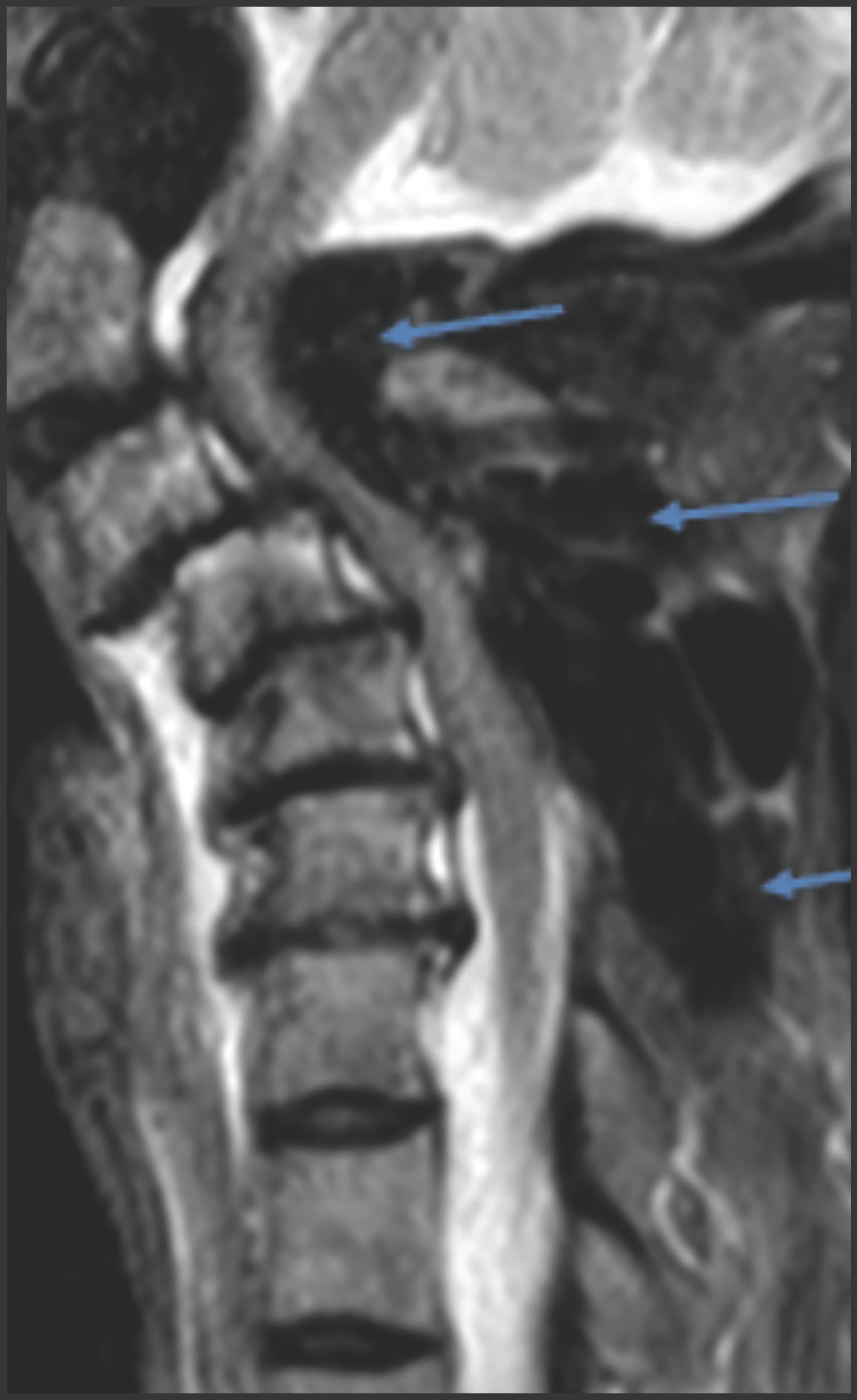 FIGURE 1.