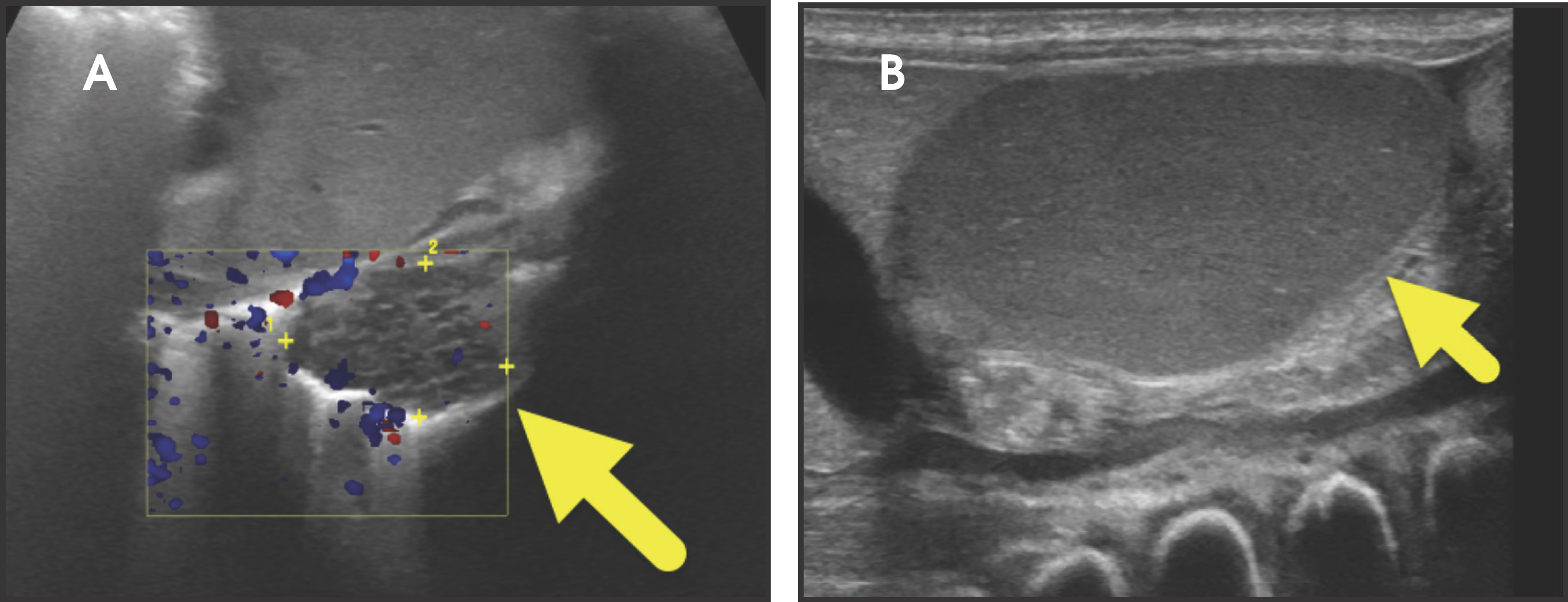 FIGURE 3.