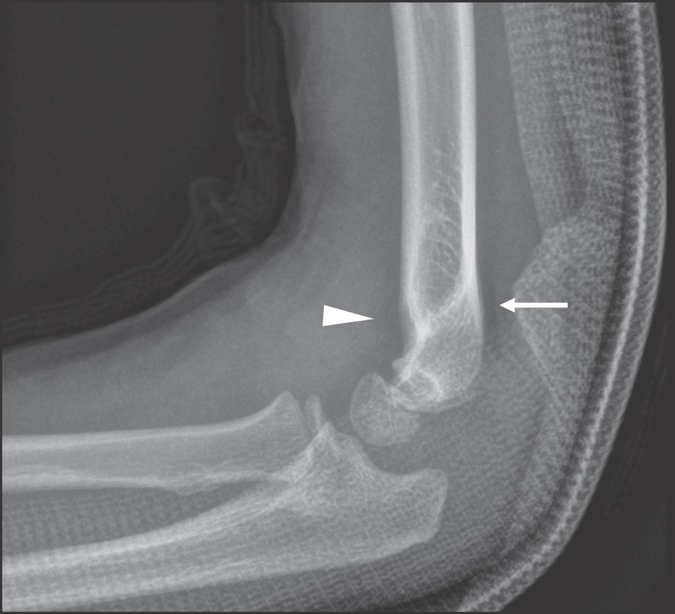 FIGURE 8.