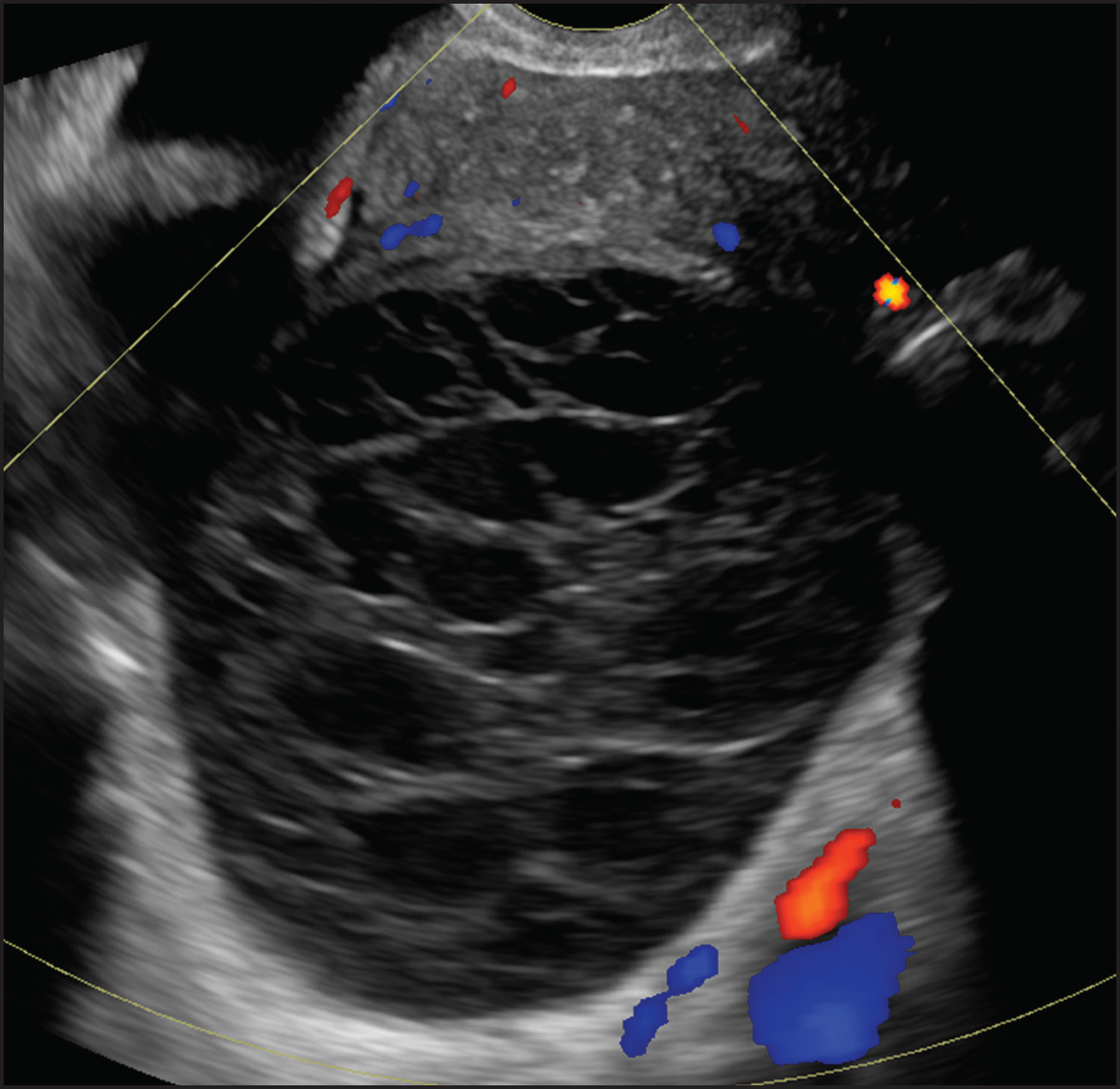 FIGURE 1.