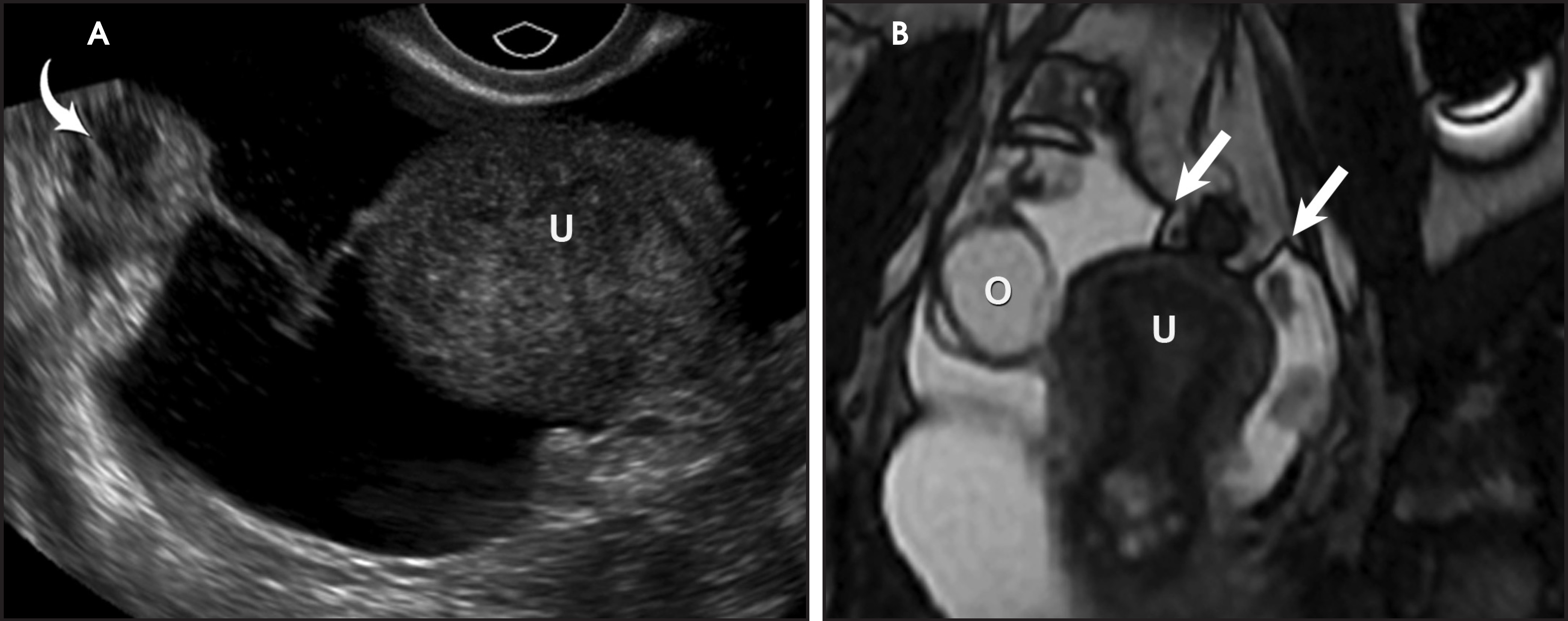 FIGURE 4.