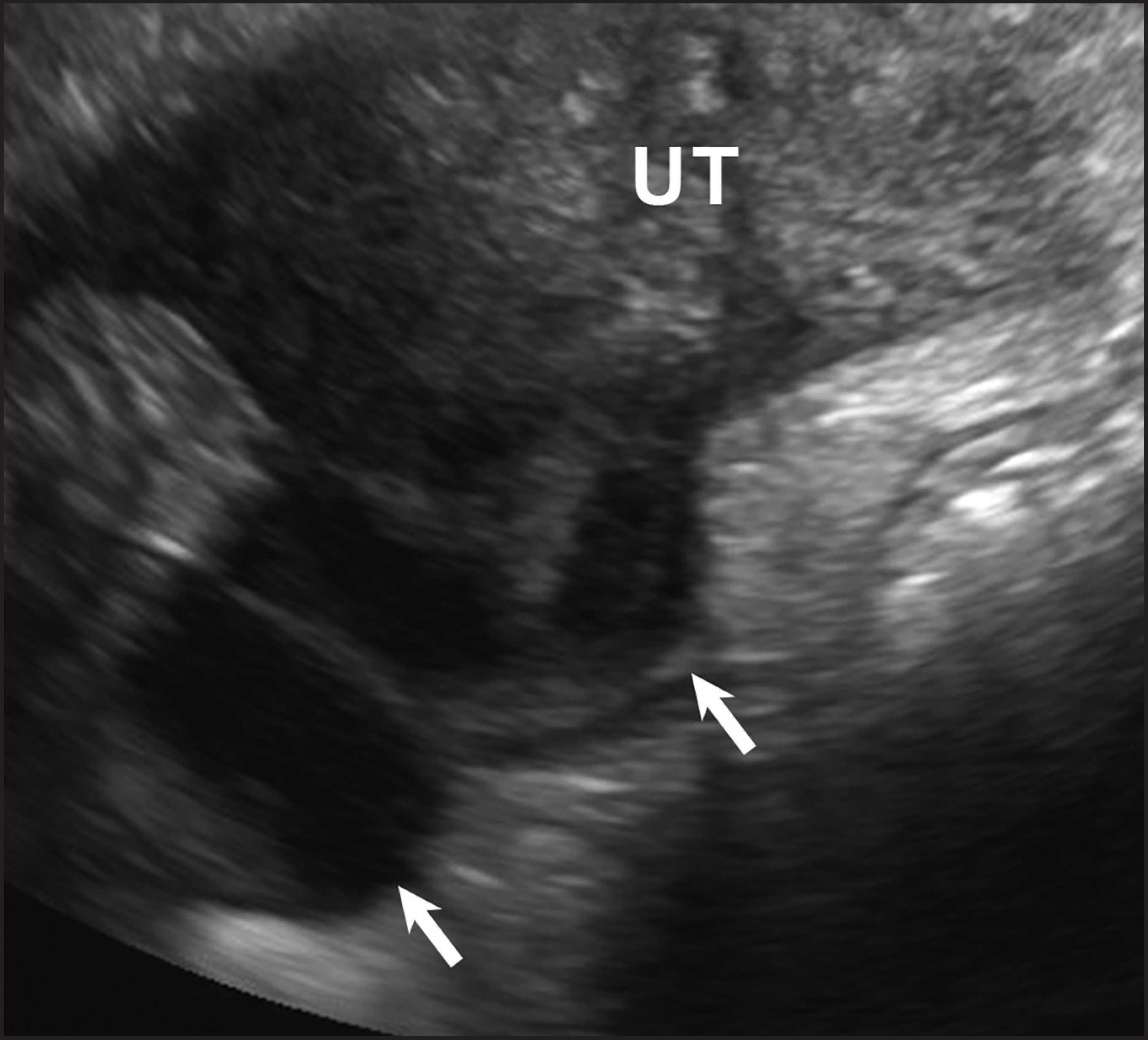 FIGURE 5.