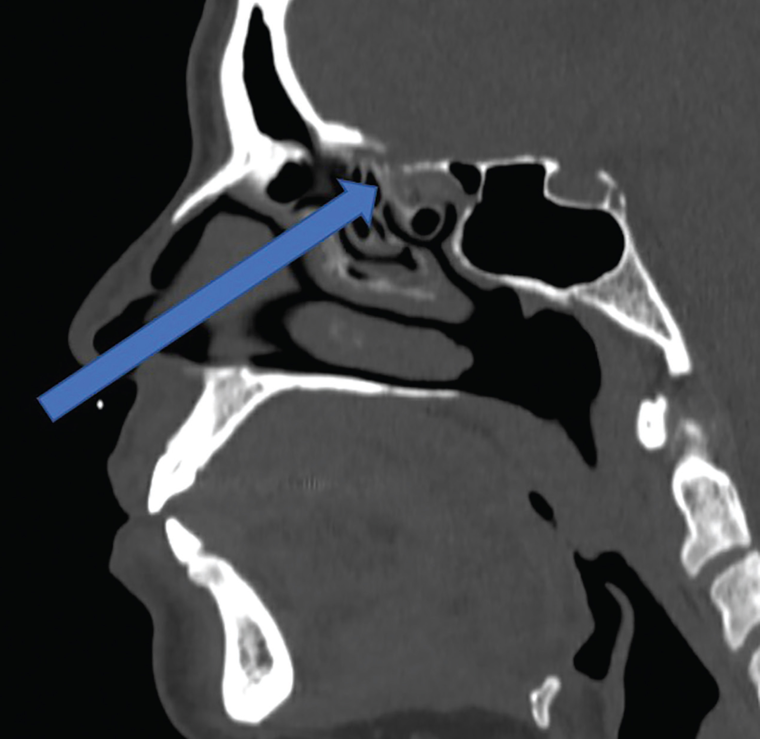 Figure 5.