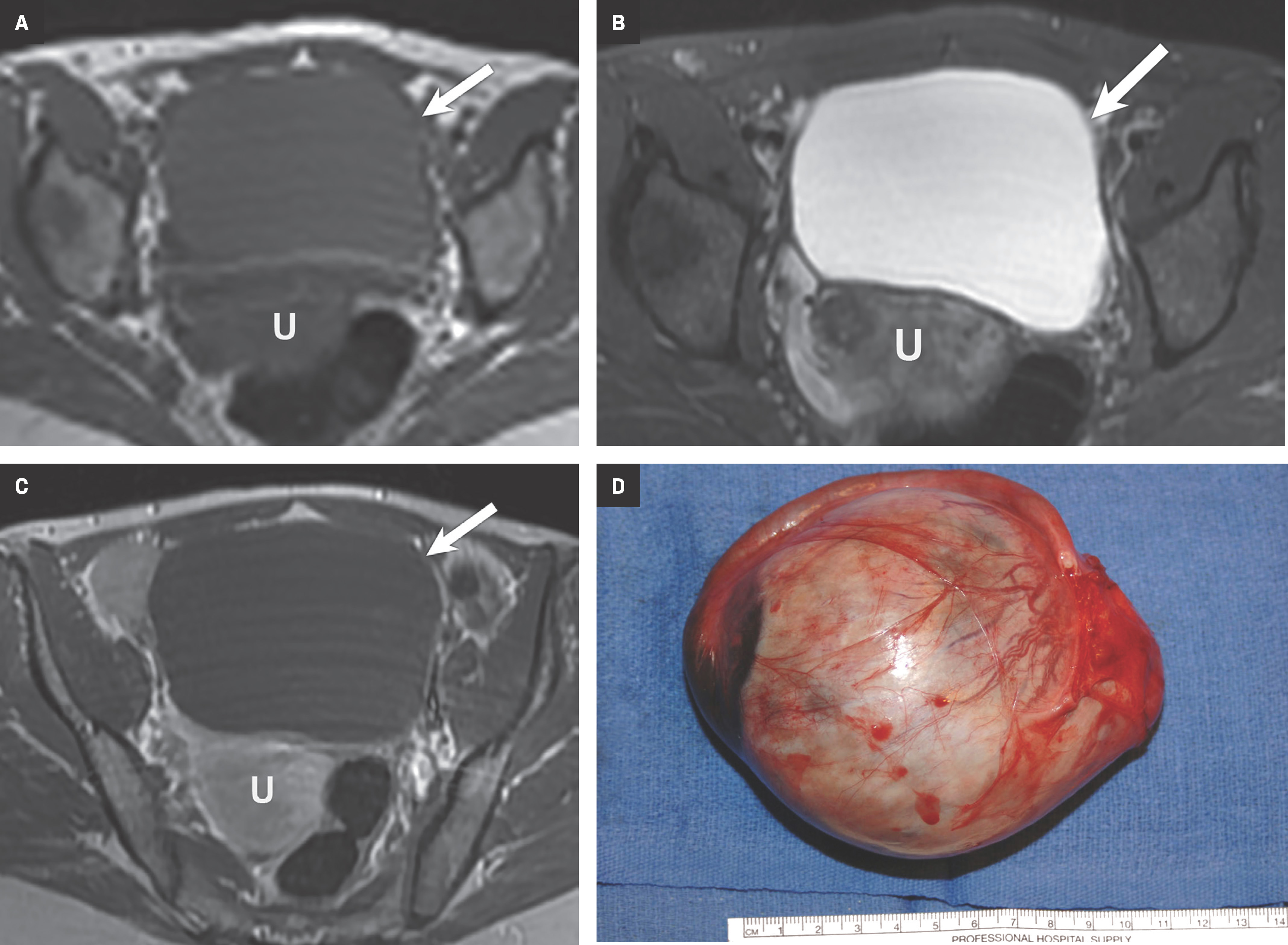 Figure 6.