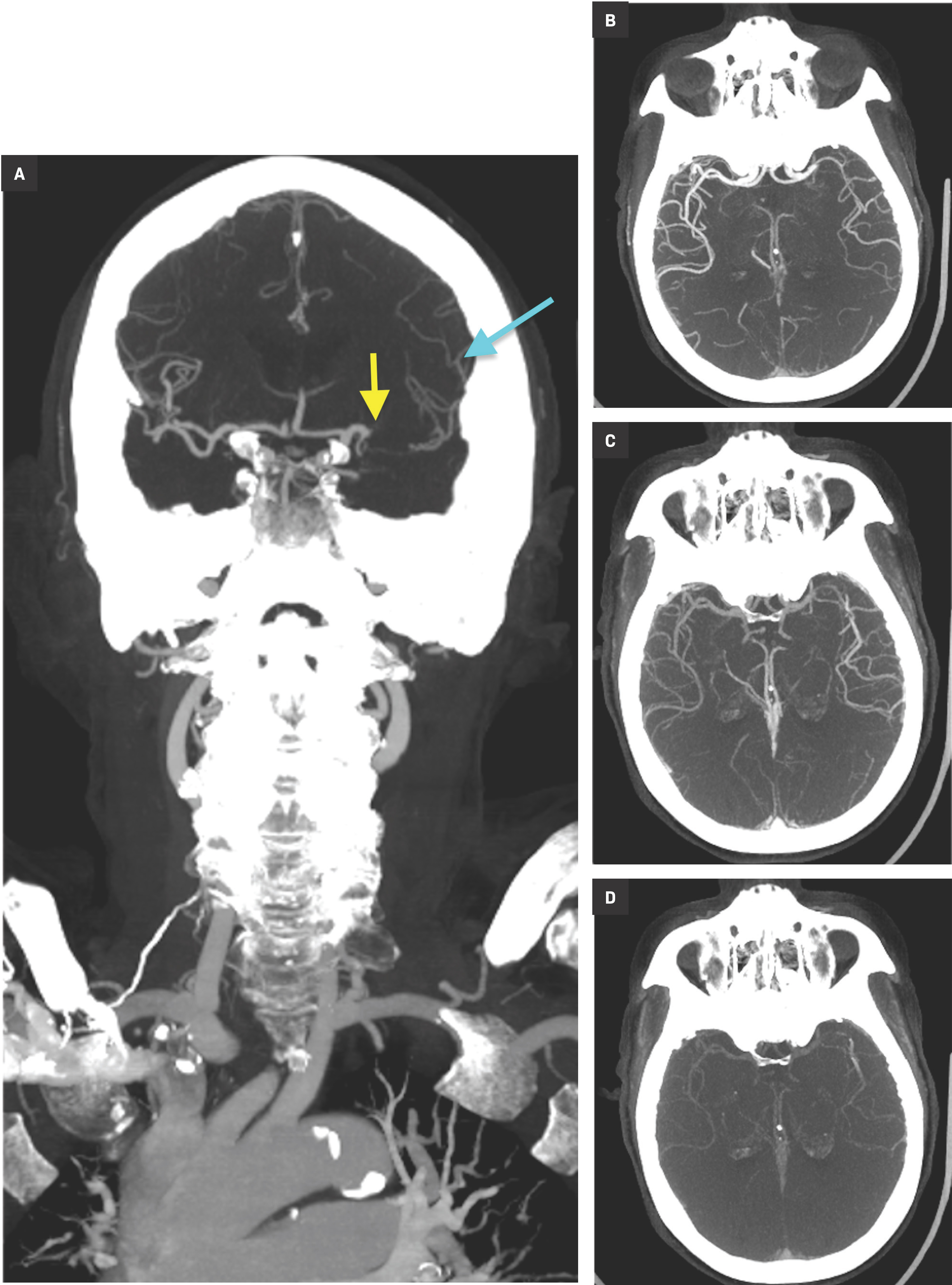 Figure 3.