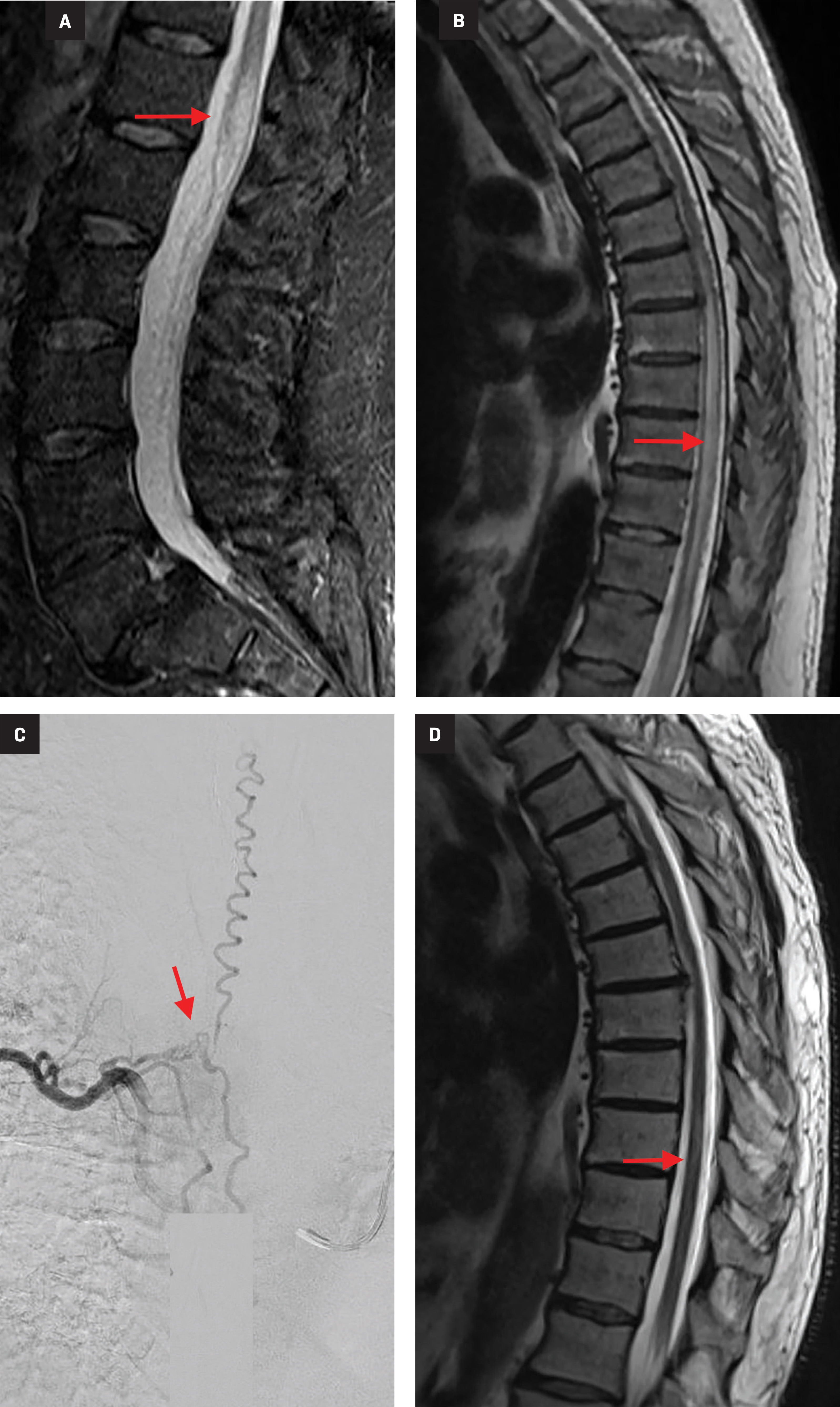 Figure 15.