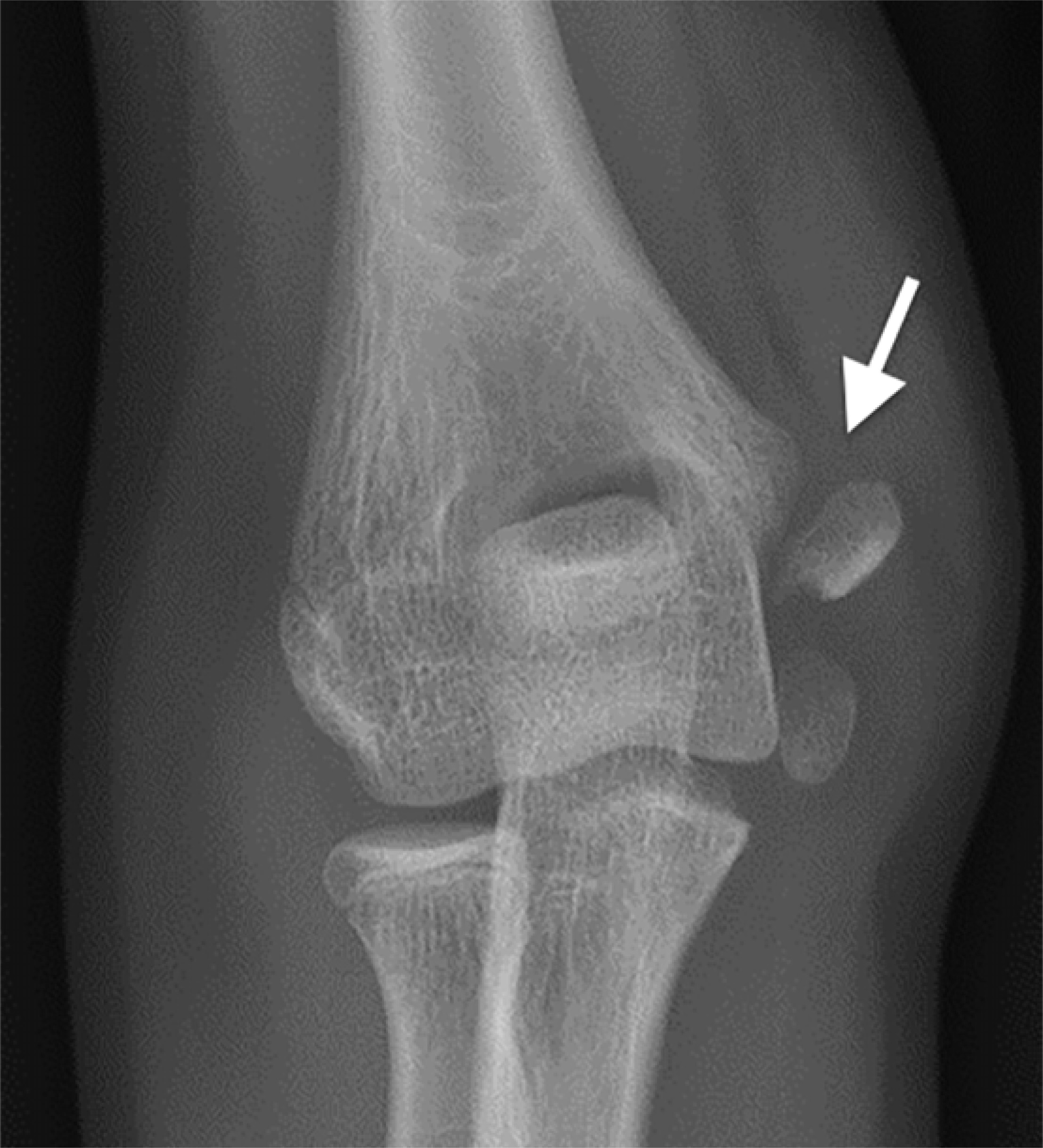 Figure 4.
