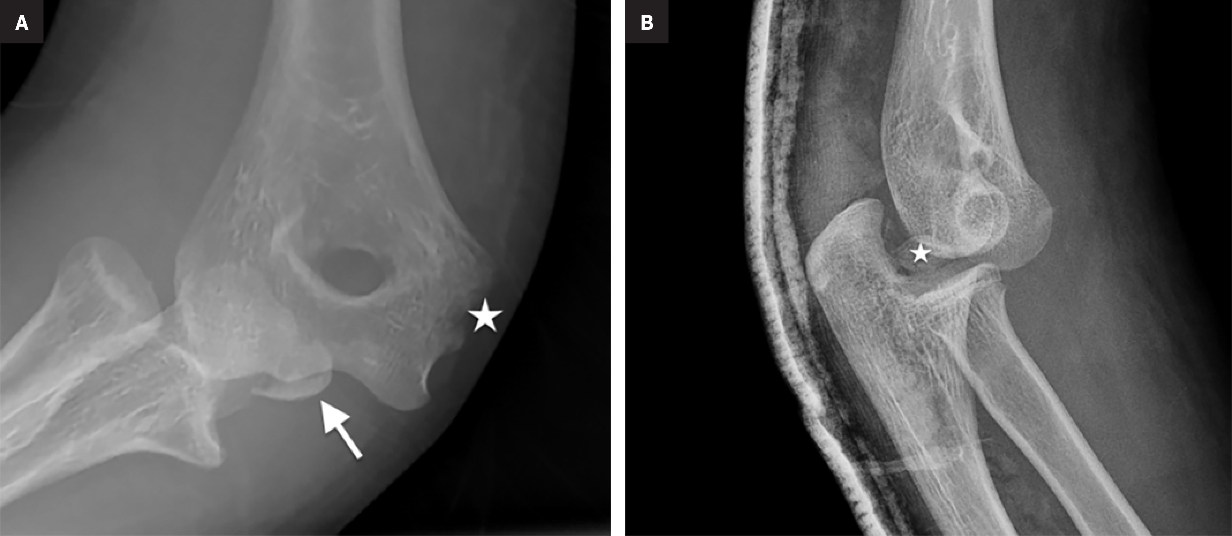 Figure 5.