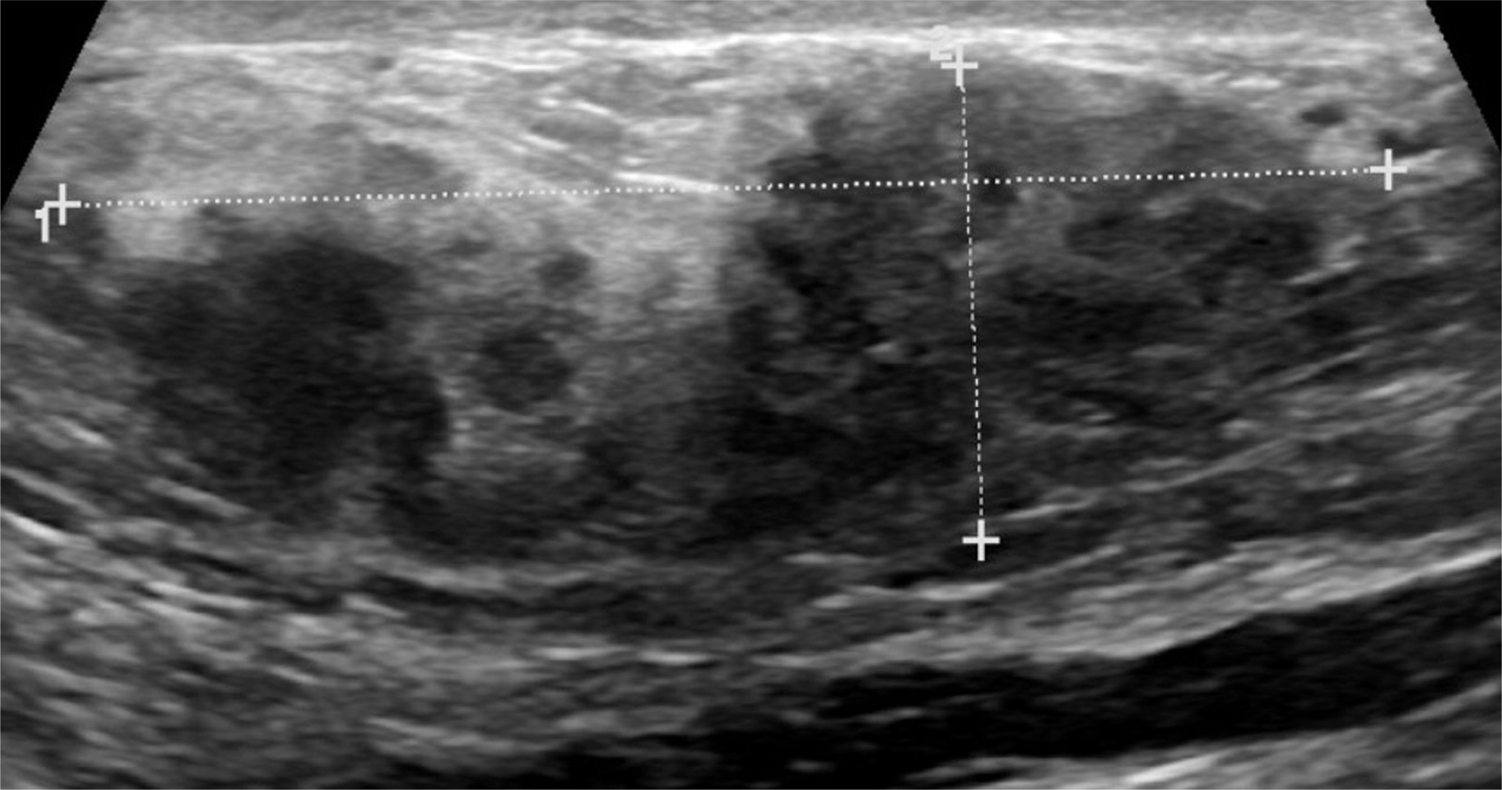 Figure 8