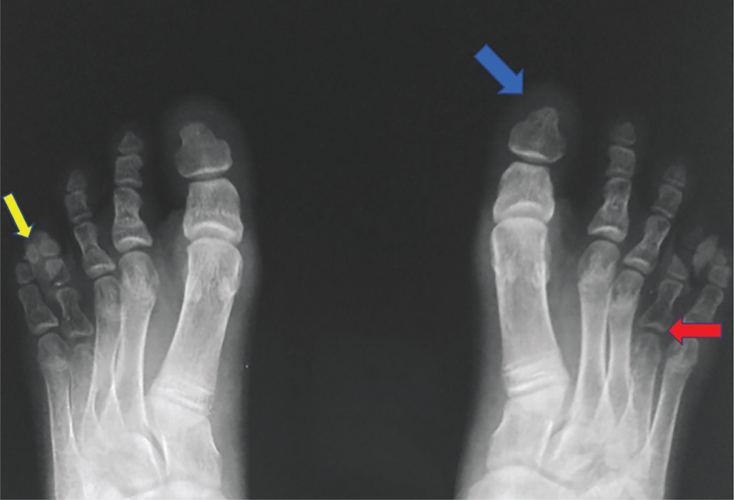Figure 5