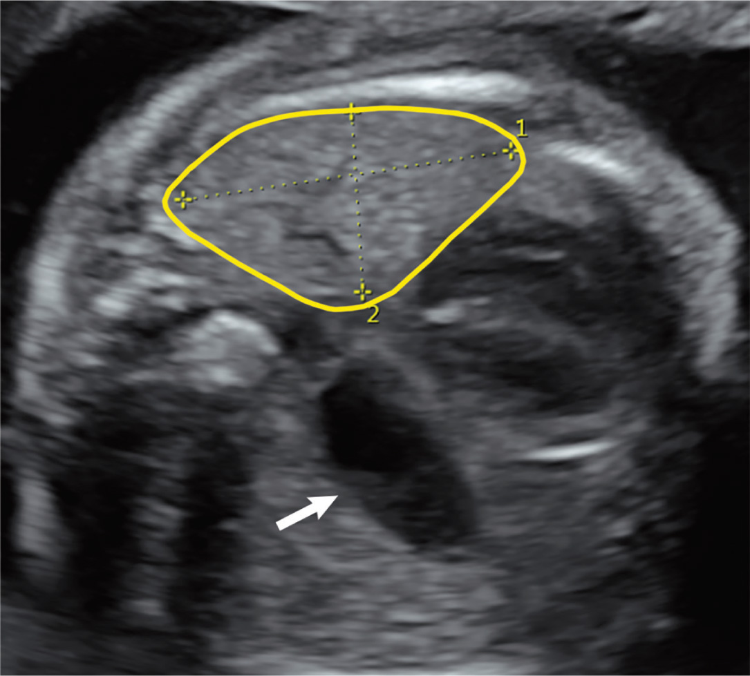 Figure 8