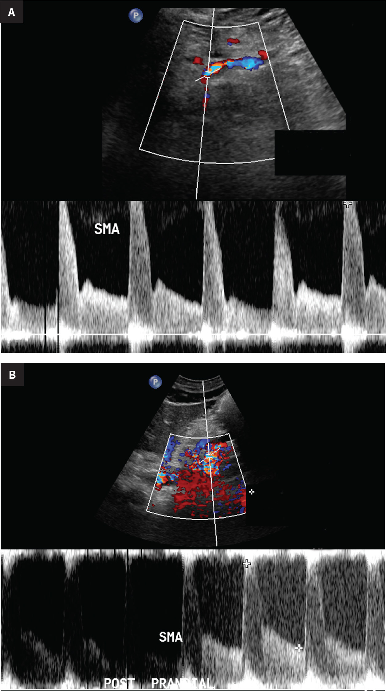 Figure 6