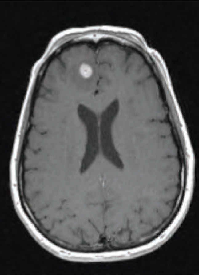 FIGURE 1.