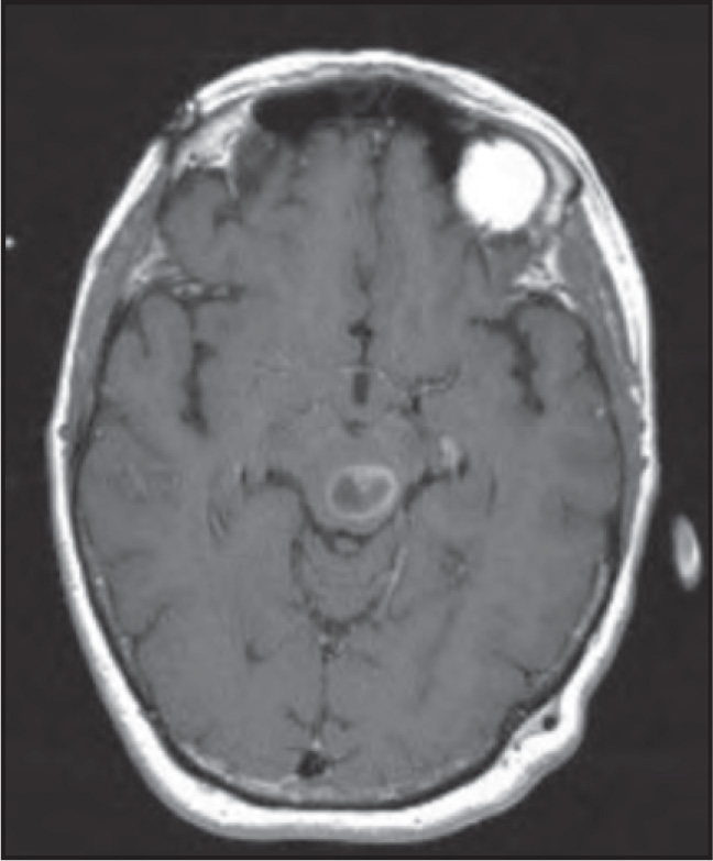 FIGURE 1.