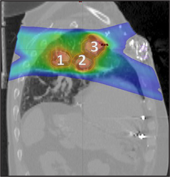 FIGURE 1.