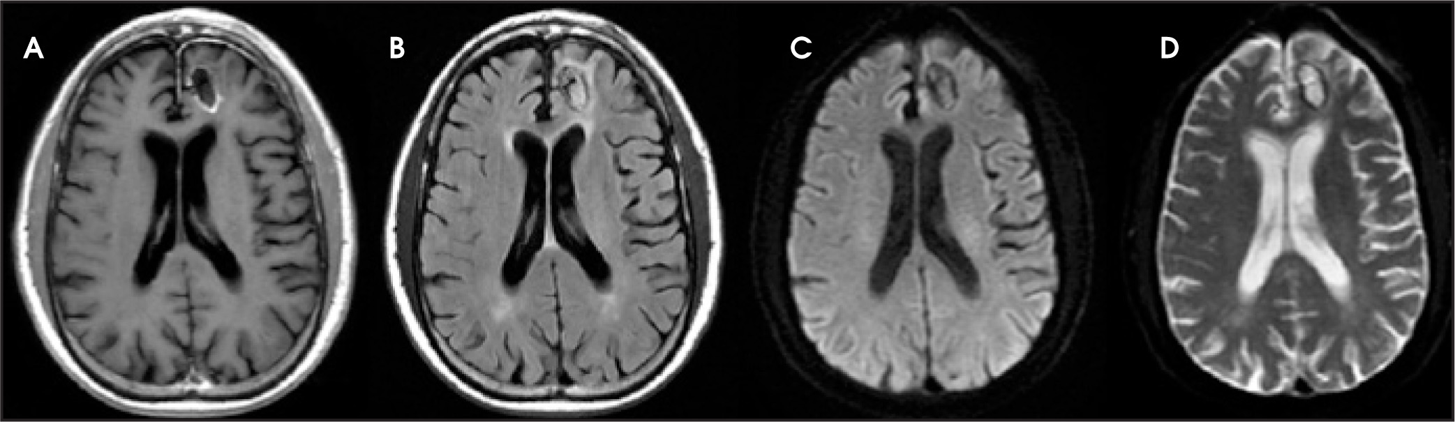FIGURE 1.
