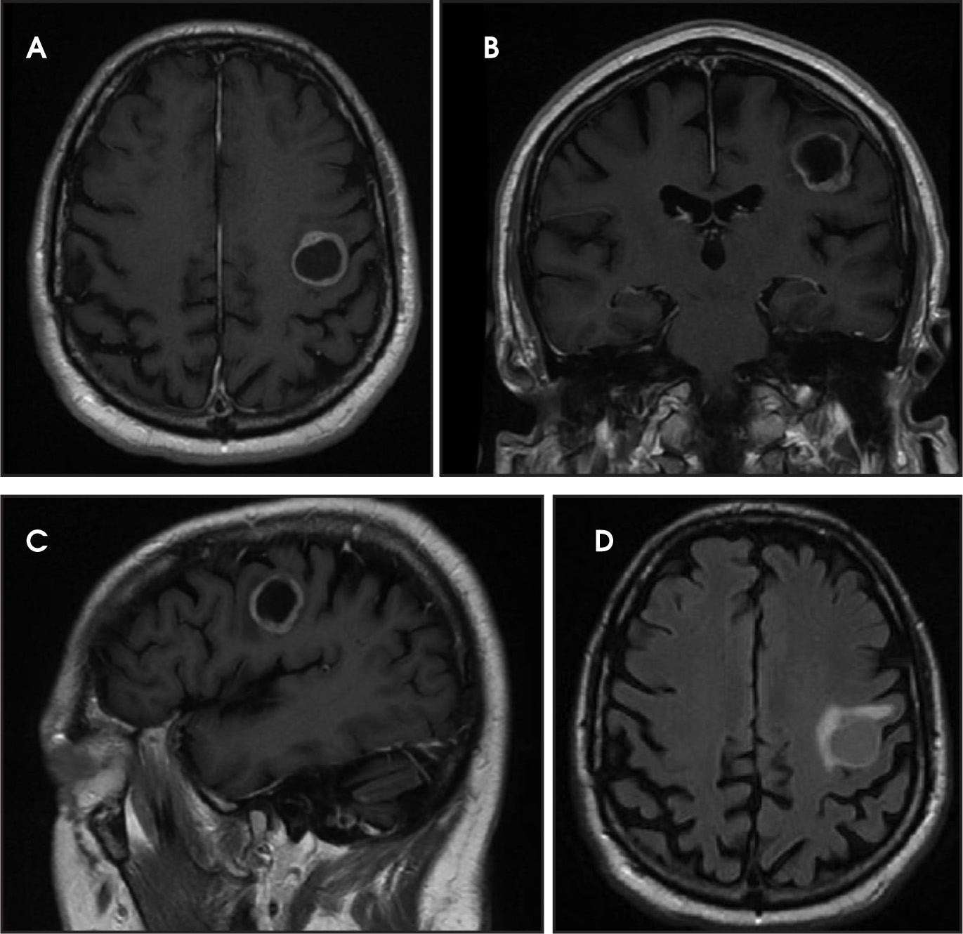 FIGURE 1.