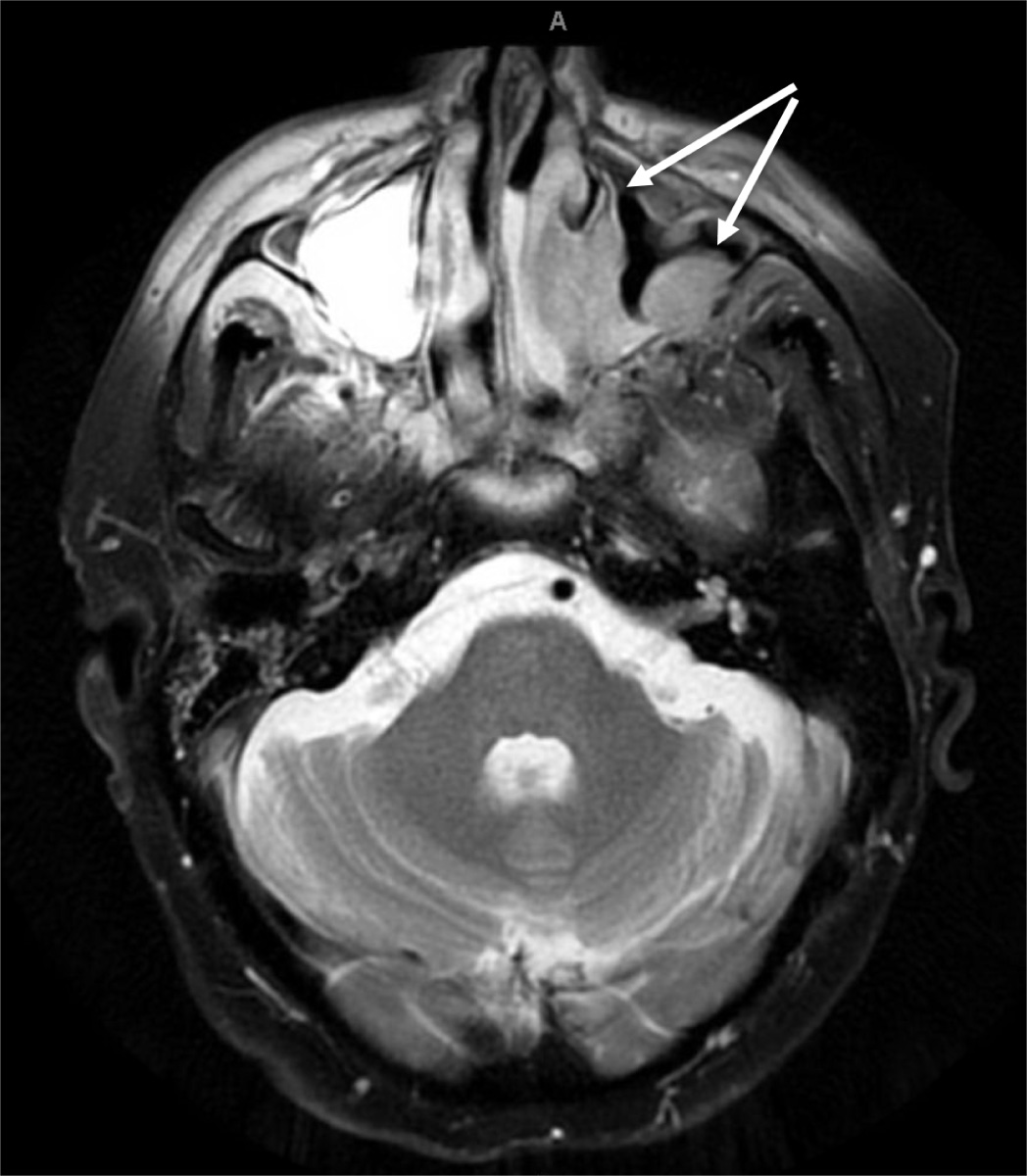 FIGURE 1.