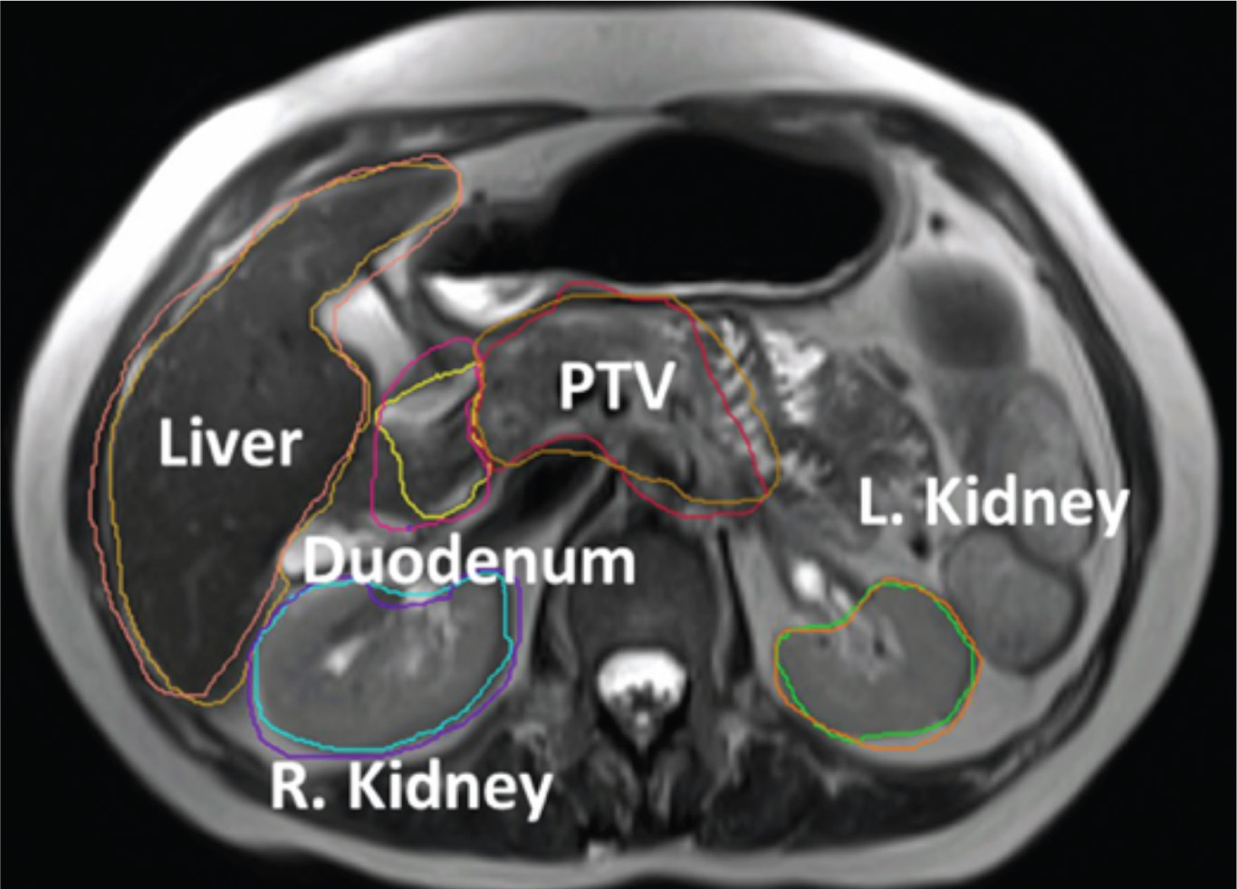 FIGURE 1.