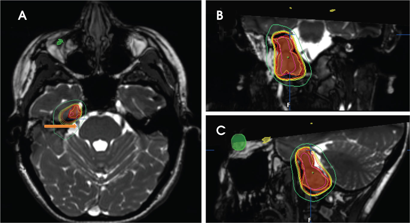 FIGURE 1.