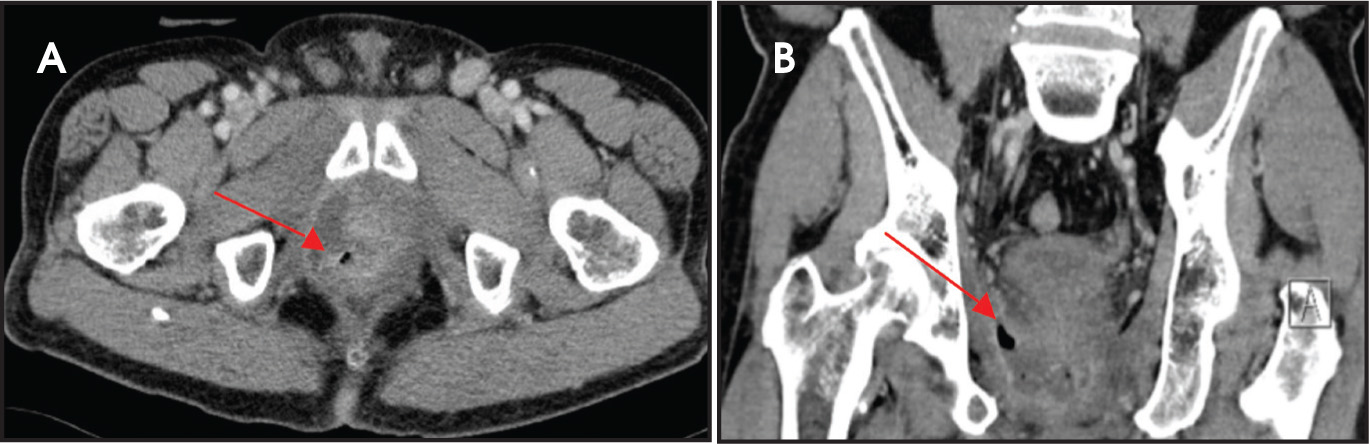 FIGURE 1.