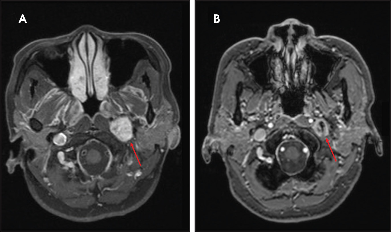 FIGURE 1.