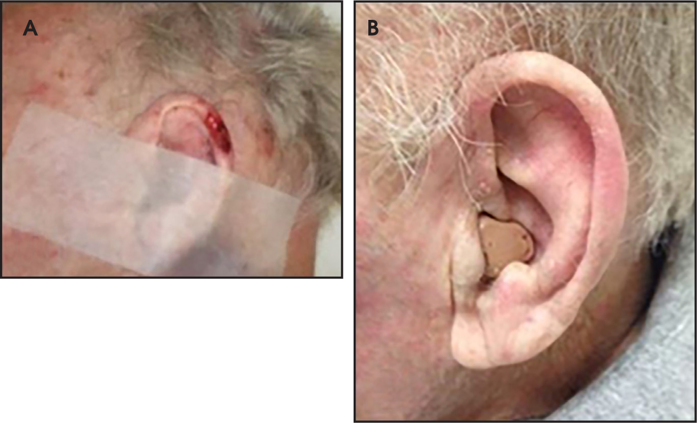 FIGURE 1.