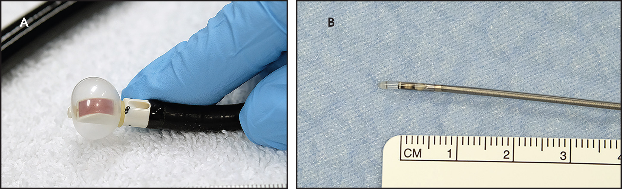 FIGURE 1.