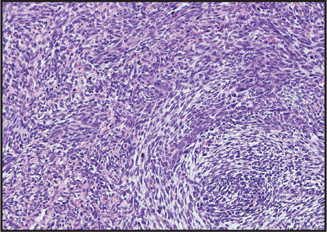 FIGURE 1.