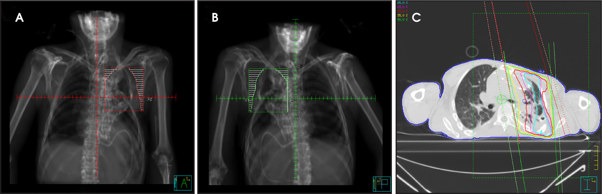 FIGURE 2.