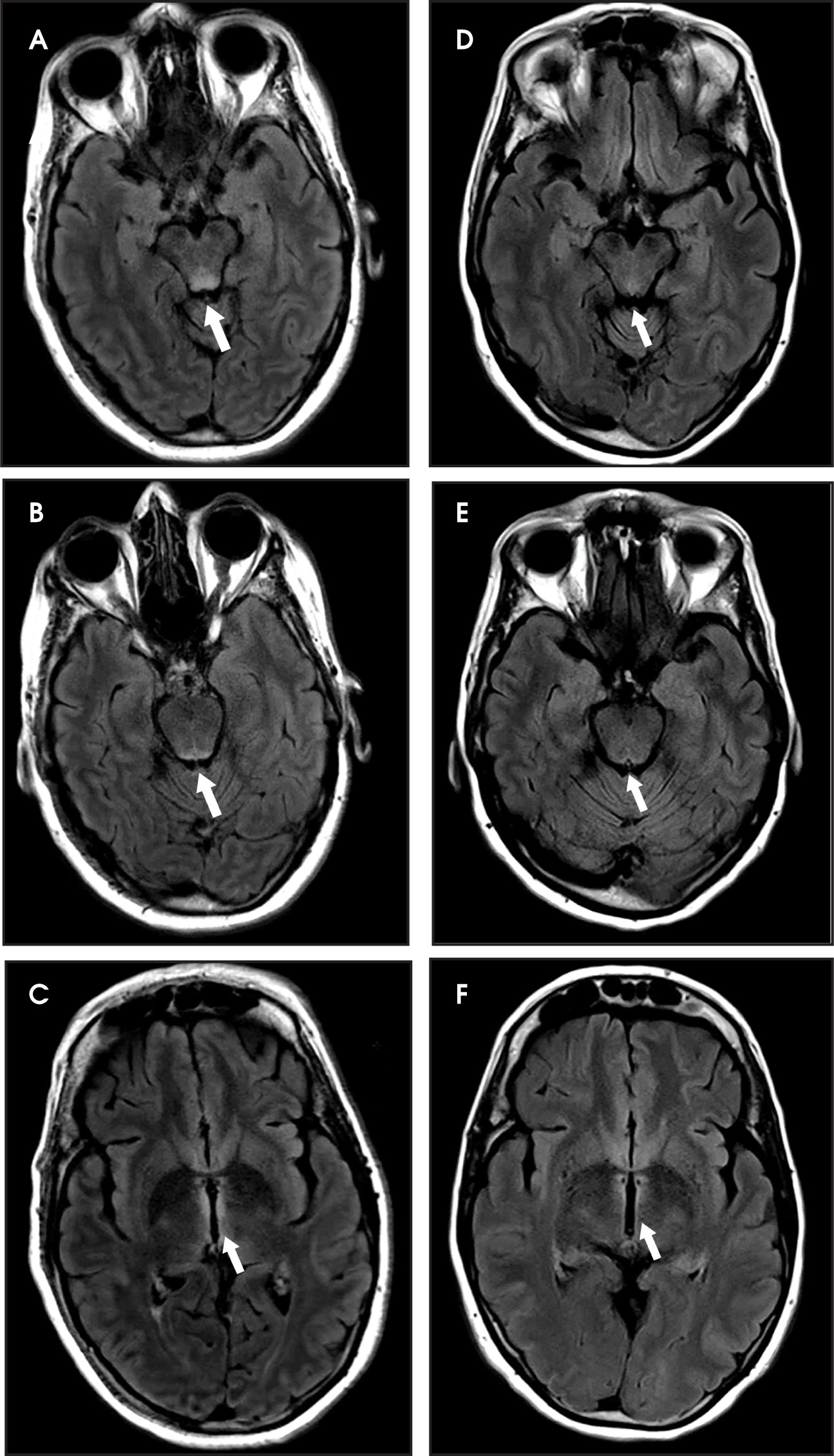 FIGURE 1.