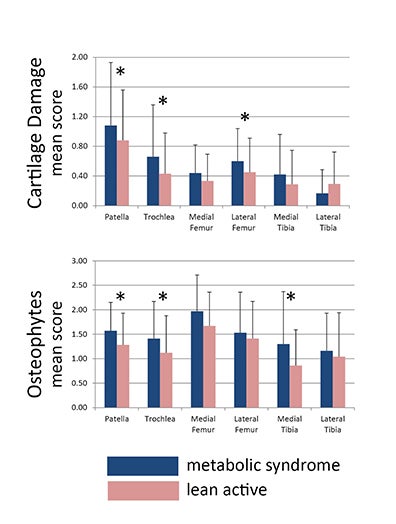 Osteoarthritis: Difference in MRI features between the overweight and the lean patient