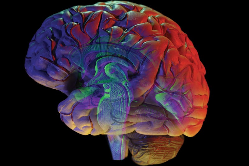 Tumor-Invading Protein Delivers Therapy Straight to Brain in Lab Study