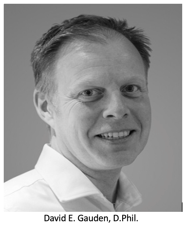 Blue Earth Appoints New CEO and CMO