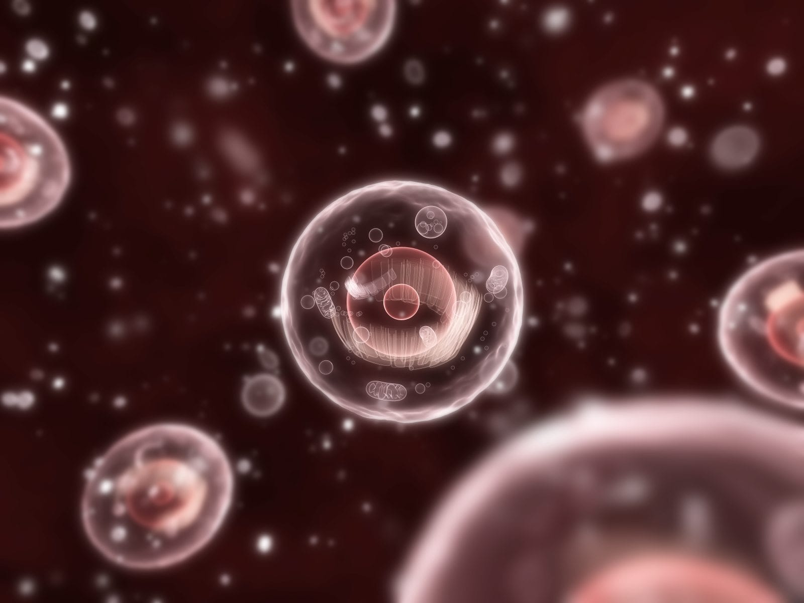 New Sensor Captures Calcium Activity in Cells