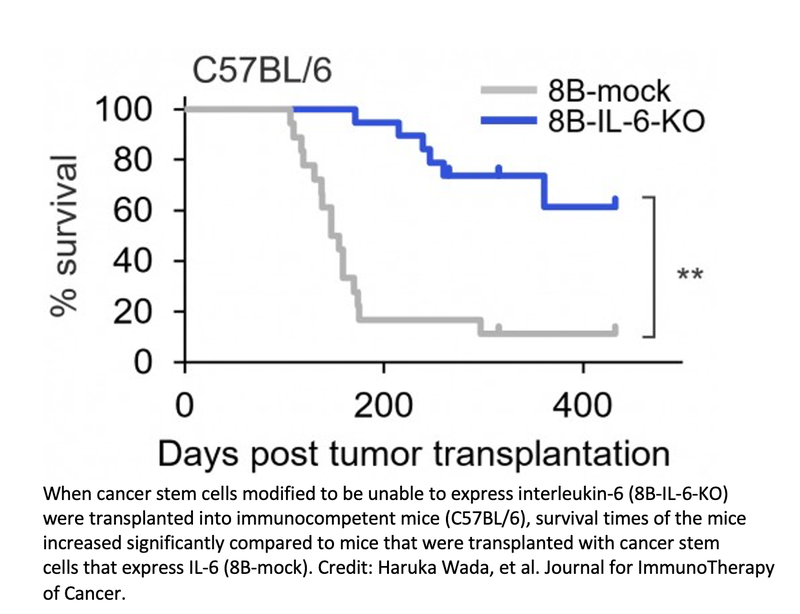 Cancer Stem Cells Induce Macrophage Aging