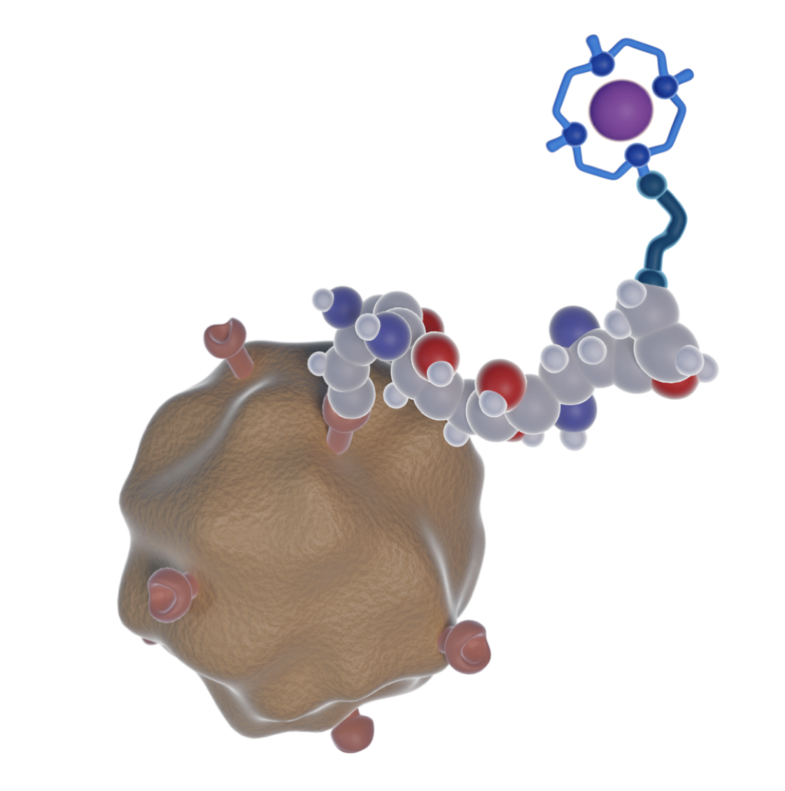 Partnership Will Manufacture and Distribute Targeted Copper Theranostics in US