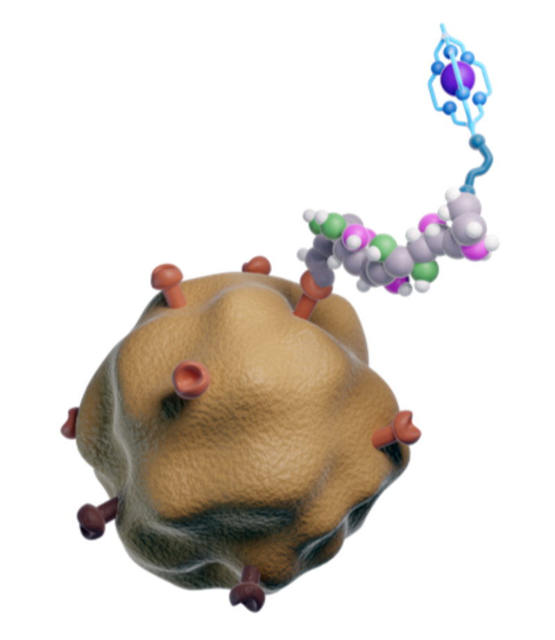 First Patient Dosed in COBRA Trial of 64Cu-64 SAR-bisPSMA