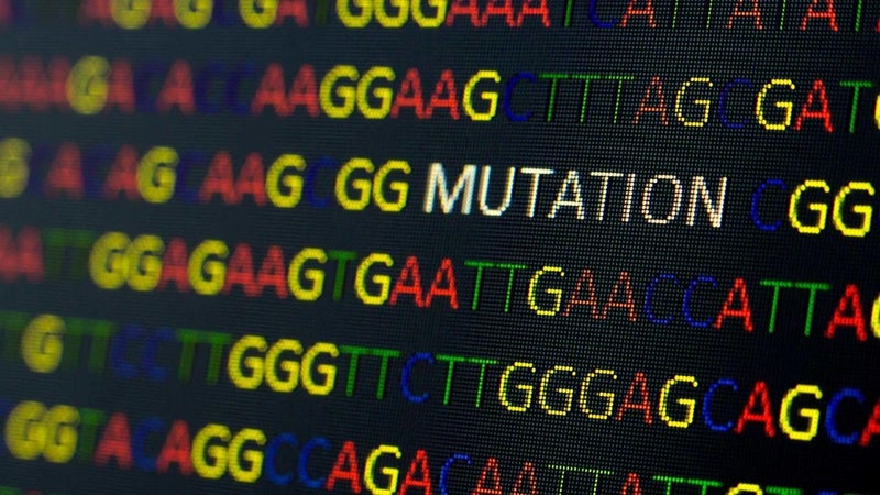 Cancer Patients Who Receive Comprehensive Genetic Testing Have Better Outcomes